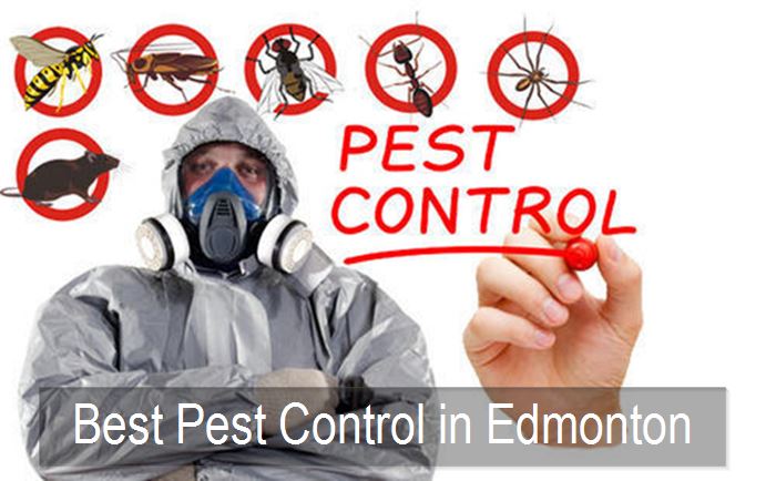 Ultimate Pest Removal Company in Alberta